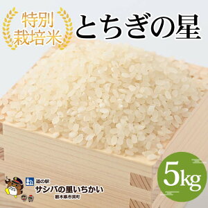 yӂ邳Ɣ[Łzʍ͔|āqƂ̐r5kg | Y Ȗ،Y Ƃ̐   ʍ͔|   Ȗؕ Ƃ Ă̐HLOA] Yn  ւ̔zs