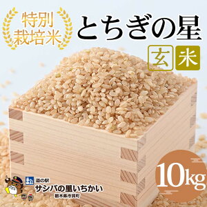 yӂ邳Ɣ[Łzʍ͔|ā@āqƂ̐r10kg | Y Ȗ،Y Ƃ̐   ʍ͔|  Ȗؕ Ƃ Ă̐HLOA] Yn  ւ̔z
