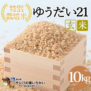 yӂ邳Ɣ[ŁzsLY ʍ͔|āq䂤21r10kg b Y Ȗ،Y  ʍ͔| Ȗؕ Ƃ ւ̔zs 2025N9{菇\