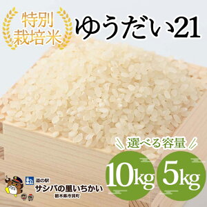 yӂ邳Ɣ[ŁzyIׂeʁzsLY ʍ͔|āq䂤21r5kg 10kg b Y Ȗ،Y  ʍ͔|   Ȗؕ Ƃ ւ̔zs 2025N9{菇