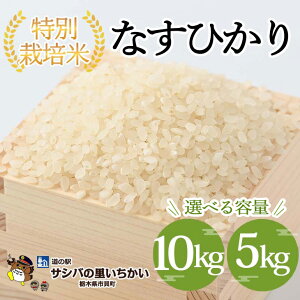 yӂ邳Ɣ[ŁzyIׂeʁzsLY ʍ͔|āqȂЂr5kg 10kg b Y Ȗ،Y  ʍ͔|   Ȗؕ Ƃ ւ̔zs 2025N9{菇
