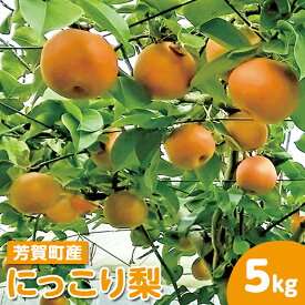【ふるさと納税】【先行予約】栃木県芳賀町産「にっこり梨」約5kg | 梨 なし 果物 フルーツ 秋の味覚 産地直送 期間限定 季節限定 季節商品 送料無料 国産 栃木県 芳賀町 ※2026年10月上旬～10月下旬頃に順次発送予定 ※離島への配送不可