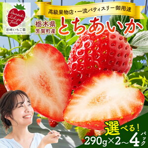 yӂ邳Ɣ[Łz_IׂpbN^ys\zȖ،F꒬Y Ƃ290g(7`12) | ʕ t[c   C`S Ƃ uh Ԍ Gߌ { Y2026N1