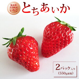 �y�ӂ邳�Ɣ[�Łz�Ȗ،��Y������ �Ƃ������� 2�p�b�N����i550g�O��j�b�ʕ� �t���[�c � �C�`�S ���̂� �V�N �Y�n���� �Ȗ،� �F�꒬ ��2025�N12�����{���`2026�N4�����{���ɏ��������\��