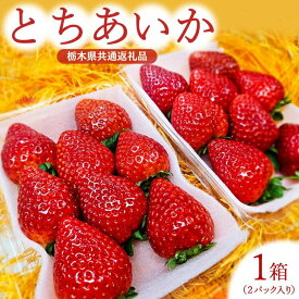【ふるさと納税】【先行予約】「とちあいか」イチゴ 1箱2パック入り 栃木県産【栃木県共通返礼品】 ※2026年2月上旬～2月下旬頃に順次発送予定 ※北海道・沖縄・離島への配送不可 | いちご 苺