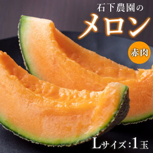 �y�ӂ邳�Ɣ[�Łz�y��s�\��z�Ή��_���̃N�C���V�[������ �ԓ� L�T�C�Y 1�� �b �ʕ� �������� �t���[�c ������ ���Y �N�C���V�[������ �ԓ� �ԓ������� �{ ���Ԍ��� �G�ߌ��� �ċG���� �Y�n