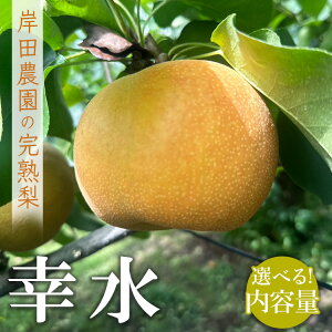 �y�ӂ邳�Ɣ[�Łz�y�I�ׂ���e�ʁz�y��s�\��z�ݓc�_���̊��n�� �K�� | �� �Ȃ� �ʕ� �t���[�c ���n �W���[�V�[ �H �{ �Y�n���� ���Ԍ��� �G�ߌ��� �G�ߏ��i �������� ���Y �Ȗ،� �F�꒬ 