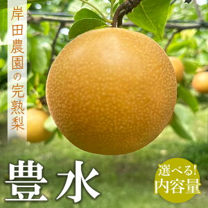 �y�ӂ邳�Ɣ[�Łz�y�I�ׂ���e�ʁz�y��s�\��z�ݓc�_���̊��n�� �L�� | �� �Ȃ� �ʕ� �t���[�c ���n �W���[�V�[ �H �{ �Y�n���� ���Ԍ��� �G�ߌ��� �G�ߏ��i �������� ���Y �Ȗ،� �F�꒬ 