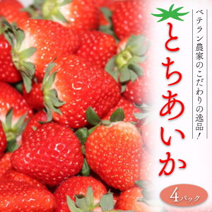 yӂ邳Ɣ[Łzxe_Ƃ̂̈iIƂ 4pbNb C`S  t[c ʕ Yn Ԍ Gߌ Ȗ، F꒬ 2025N12{`2026N3{ɏ