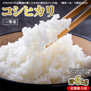 【ふるさと納税】【3ヵ月定期便】《令和7年産》コシヒカリ 1kg×2袋×3回 計6kg | 一等米 お殿様のお米 お米 おこめ こしひかり コメ こめ ご飯 ごはん 国産 栃木県 壬生町