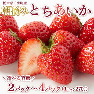 yӂ邳Ɣ[ŁzyIׂeʁzystzƂ 270g b   C`S ʕ t[c lC ʌ JNe [Og X[W[ { Ȗ، p 2026N1{`3