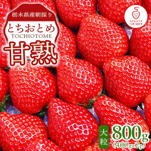 yӂ邳Ɣ[ŁzȖ،ŶÏnƂƂ12`18̑嗱2pbNł͂400g×2p b ƂƂ   Ȗ، ʕ t[c kCEEւ̔zs 2026N1{`4