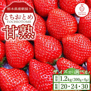 yӂ邳Ɣ[ŁzyIׂ闱zÏnƂƂ e300g×4p 30 24 20b ƂƂ   Ȗ، ʕ t[c kCEEւ̔zs 2026N1{`4{ɏ