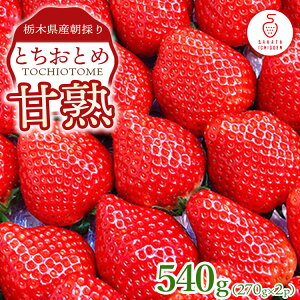 yӂ邳Ɣ[ŁzȖ،YÏnƂƂ 270g×2Pb ƂƂ   Ȗ، ʕ t[c kCEEւ̔zs 2026N1{`4{ɏ\