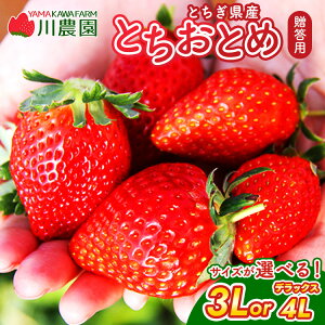 yӂ邳Ɣ[ŁzyIׂ 3L or fbNXi4LjzƂƂ 320g×2pbN b   C`S  t[c ʕ Y ς݁@2026N1{菇\