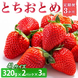 【ふるさと納税】＜いちご3か月定期便＞栃木県産とちおとめ 320g×2パック 4Lサイズ 3回 | 栃木県 壬生町 いちご 苺 イチゴ とちおとめ フルーツ 果物 新鮮 平積み 産地直送 2025年1月 2月 3月 ※2025年1月中旬頃より順次発送予定 ※離島への配送不可