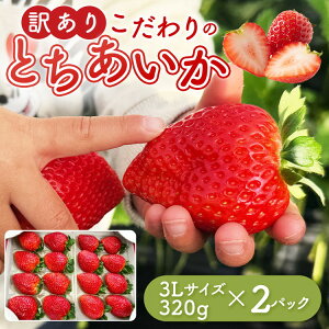 �y�ӂ邳�Ɣ[�Łz�u�󂠂�v�Ƃ������� 3L�T�C�Y 320g×2�p�b�N �b �󂠂� �Ƃ������� ������ � �Ȗ،� �ʕ� �t���[�c ���k�C���E����E�����ւ̔z���s�� ��2026�N1�����{�`3�����{���ɏ�����