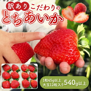 �y�ӂ邳�Ɣ[�Łz�u�󂠂�v�Ƃ�������1��45g�ȏ� ��� 12������ 540g�ȏ�b �󂠂� �Ƃ������� ������ � �Ȗ،� �ʕ� �t���[�c ���k�C���E����E�����ւ̔z���s�� ��2026�N1�����{�`3�����{��