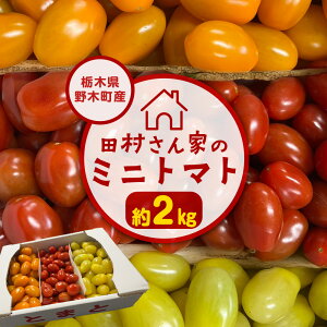 yӂ邳Ɣ[ŁzcƂ̃~jg}g2kgyȖ،ؒYzc_s11{-7{ɏoח\(yj)tg}g ~jg}g  VN Rs r^~ e