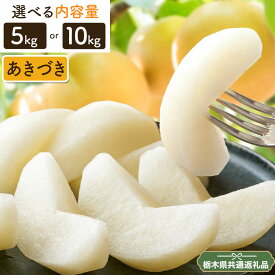 【ふるさと納税】先行予約 N09 梨 なし あきづき 5kg or 10kg フルーツ 矢畑むらづくり組合《9月上旬-9月下旬頃出荷》 栃木県【栃木県共通返礼品　栃木県産】【配送不可地域あり】