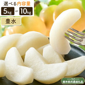 【ふるさと納税】先行予約 N03 梨 なし 豊水 5kg or 10kgフルーツ 矢畑むらづくり組合《8月下旬-9月中旬頃出荷)》 栃木県【栃木県共通返礼品　栃木県産】【配送不可地域あり】(離島)