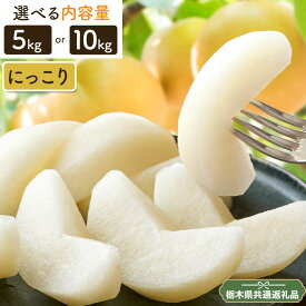 【ふるさと納税】先行予約 梨 なし にっこり梨 5kg or 10kgフルーツ 矢畑むらづくり組合《9月下旬-10月上旬頃出荷》 栃木県【栃木県共通返礼品　栃木県産】【配送不可地域あり】