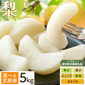【ふるさと納税】梨 定期便 5kg 計2回 計3回 計5回 矢畑むらづくり組合《出荷時期をお選びください》栃木県 野木町 お楽しみ フルーツ 先行予約　食べ比べ 幸水梨 豊水梨 にっこり梨 新高梨 あきづき 栃木産 果物【栃木県共通返礼品　栃木県産】【配送不可地域あり】(離島)