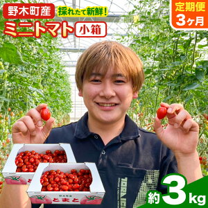 ys\zyӂ邳Ɣ[Łz~jg}g 1.5kg 1 2  ւ Ȗ، ؒY ނÂg s2025N10{-2026N6{oׁtȖ، ؒ g}g ~jg}g  