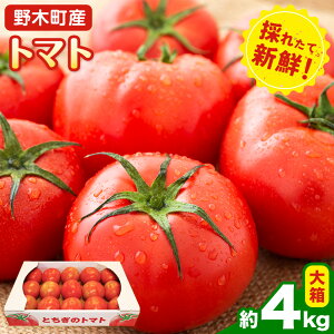 ys\zyӂ邳Ɣ[Łzg}g 2kg  4kg 唠 Ȗ، ؒY ނÂg s2025N10{-2026N6{oׁtȖ، ؒ g}g  VN