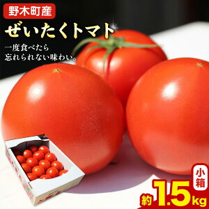 ys\zyӂ邳Ɣ[Łzg}g g}g 1.5kg  Ȗ، ؒY ނÂg s2025N10{-2026N5oׁtȖ، ؒ g}g  VN