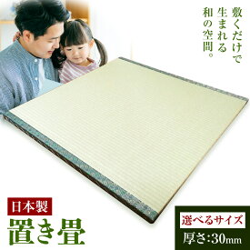【ふるさと納税】インテリア 畳 畳職人の手仕事 高品質置き畳1枚 50cm×50cm 60cm×60cm 70cm×70cm 大高畳店《30日以内に出荷予定(土日祝除く)》栃木県 野木町 置き畳 和室 家具