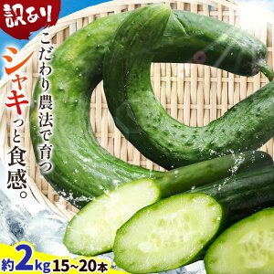 yӂ邳Ɣ[Łzイ 󂠂 2kg 15{ ` 20{  ӉZ HR_ s9{-12{oׁtȖ، ؒ T_ Е PA 킯