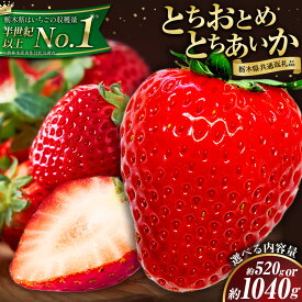 【ふるさと納税】 バレンタイン 栃木 いちご 食べ比べ とちおとめ とちあいか 選べる 内容量 2パック 520g 4パック 1040g 《出荷時期をお選びください》 栃木県 野木町 いちご イチゴ 苺 果物 フルーツ 【配送不可地域】沖縄・離島【栃木県共通返礼品】