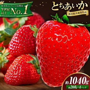 yӂ邳Ɣ[Łz  ƂƂ Ƃ Iׂ e 2pbN 520g 4pbN 1040g Hה s1{-5oׁt Ȗ، ؒ  C`S  ƂƂ Ƃ Hה