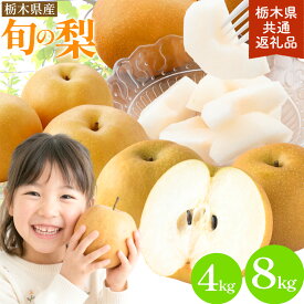 【ふるさと納税】 旬の梨 選べる内容量 約4kg 約8kg 幸水 豊水 あきづき 新高 にっこり《8月上旬-10月中旬頃出荷予定》 栃木県 野木町 なし ナシ くだもの 果物 青果物 フルーツ