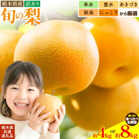【ふるさと納税】訳あり 旬の梨 選べる内容量 約4kg 約8kg 2種 食べ比べ 定期便 幸水 豊水 あきづき 新高 にっこり《8月上旬-10月中旬頃出荷予定》 栃木県 野木町 なし ナシ くだもの 果物 青果物 フルーツ