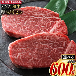 yӂ邳Ɣ[Łzјa Ƃa ؂ q tB A4`A5 Iׂ ~ Ԑg Xe[L ɏ 300g 600g ʌ  Ⓚ s7-14ȓɏoח\(yj)t Ⓚ  ȓ 