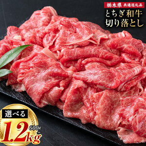 yӂ邳Ɣ[Łzјa Ƃa ē@؂藎Ƃ A4`A5 Iׂ ~ Ԑg Xe[L ɏ 600g 900g 1200g ʌ  Ⓚ s7-14ȓɏoח\(yj)t Ⓚ  1kg