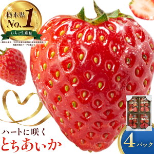 �y�ӂ邳�Ɣ[�Łz������ �Ƃ������� �I�ׂ� ���e�� 2�p�b�N 560g 4�p�b�N 1040g �s12�����{-3����{���o�ׁt JA����� �Ȗ،� ��ؒ� ������ �C�`�S � �Ƃ������� �ʕ� �t���[�c �n�[�g�^ �W���[