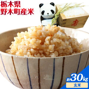 �y�ӂ邳�Ɣ[�Łz�� �ߘa7�N�Y ���� �Ȗ،���ؒ��Y�� 18kg 20kg 30kg ���� ���� ��ؔ_���s30���ȓ��ɏo�ח\��(�y���j����)�t �Ȗ،� ��ؒ��Y ��20kg �Ȗ،� ��ؒ��Y ���� ���ĕ��@