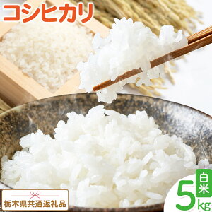 yӂ邳Ɣ[Łz   RVqJ 5kg ߘa6NY ߘa7NY ]ˉ_YЁs30ȓɏoח\(yj)t Ȗ،Y R  Ђ RVqJ5kg 5LyȖ،ʕԗi