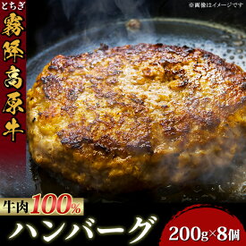【ふるさと納税】ハンバーグ 肉 牛肉 100% 冷凍 とちぎ霧降高原牛入り自家製ハンバーグ1.6kg（200g×8個）