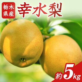 【ふるさと納税】N01 梨 なし 幸水 5kg フルーツ 先行予約 2024年 8月 上旬頃 栃木県