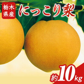 【ふるさと納税】N06 梨 なし にっこり梨 10kg フルーツ 先行予約 2024年 10月 中旬頃 栃木県