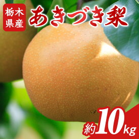 【ふるさと納税】N10 梨 なし あきづき 10kg フルーツ 先行予約 2024年 9月 中旬頃 栃木県