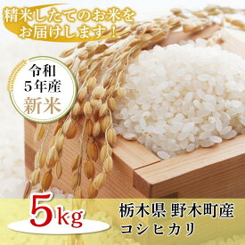 【ふるさと納税】こしひかり 白米 5kg K08 こしひかり 5kg 栃木県産 精米 つきたて