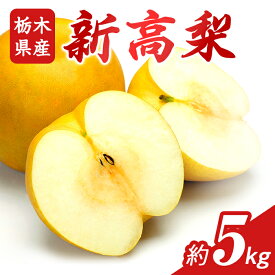 【ふるさと納税】N07 梨 なし 新高梨 5kg フルーツ 先行予約 2024年 10月 上旬頃 栃木県