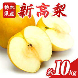 【ふるさと納税】N08 梨 なし 新高梨 10kg フルーツ 先行予約 2024年 10月 上旬頃 栃木県