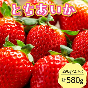 yӂ邳Ɣ[Łzys\zƂ 290g×2pbN v580gb C`S  p Mtg ܓ l nbNg[ ʕ  t[c ʌ uh 