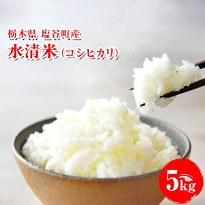 yӂ邳Ɣ[ŁzāiRVqJj5kgbЂ  V   R SI Y Yn Ԍ Ȗ، J 2025N10{菇\